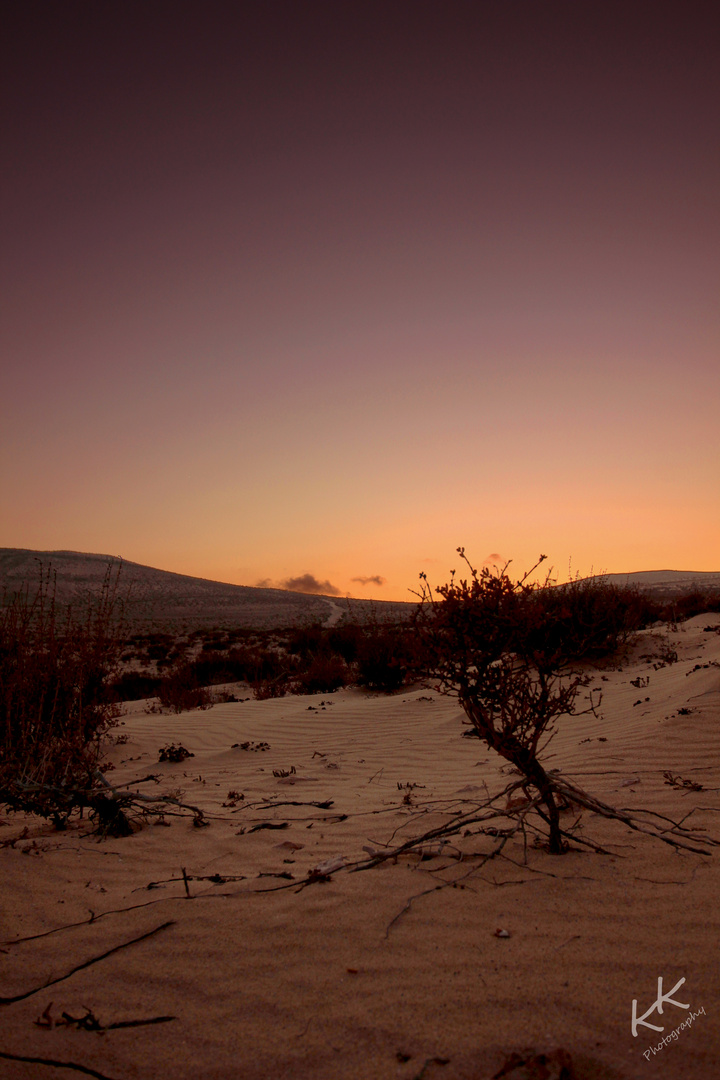 Sonnenuntergang in der Wüste