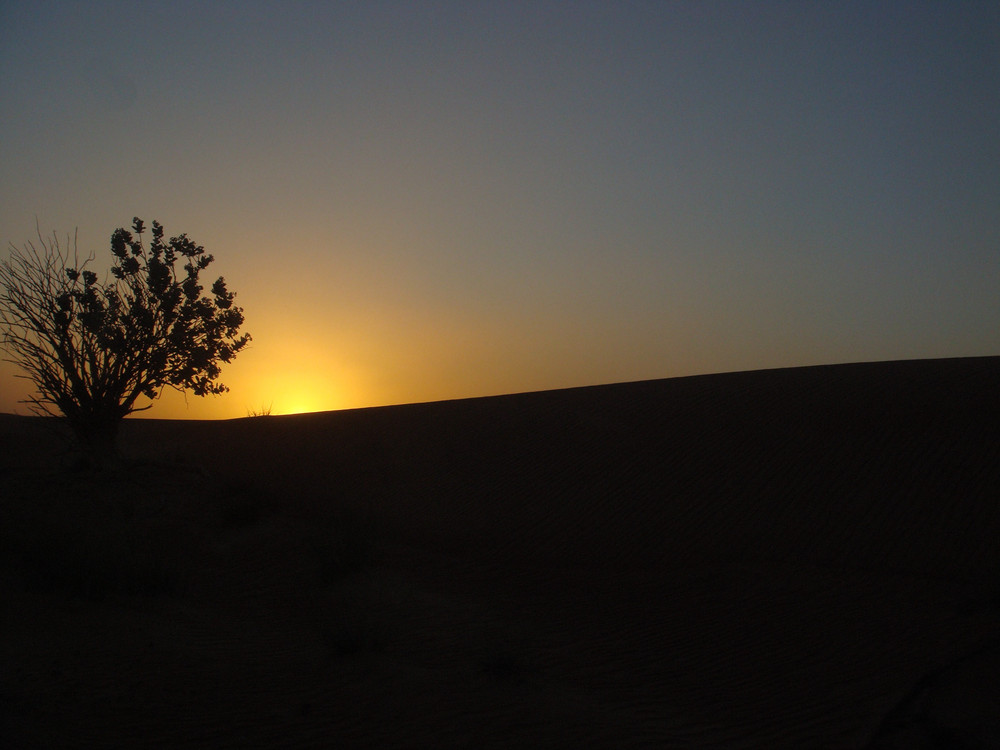 Sonnenuntergang in der Wüste Dubais