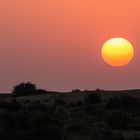 Sonnenuntergang in der Wüste Thar (1)