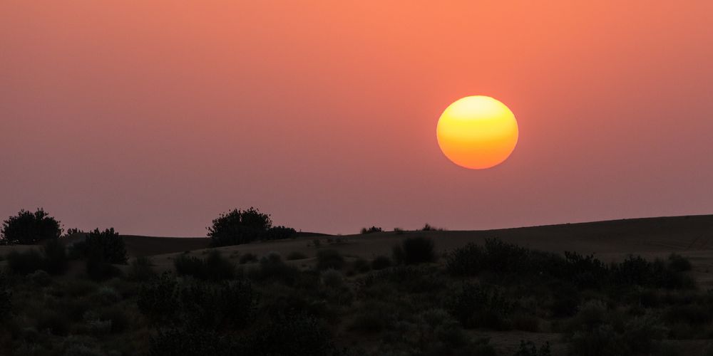 Sonnenuntergang in der Wüste Thar (1)