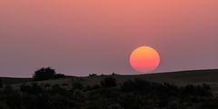 Sonnenuntergang in der Wüste Thar (2)