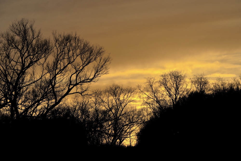 Sonnenuntergang in Dessau am 21. Dezember 2019 - Bild 3