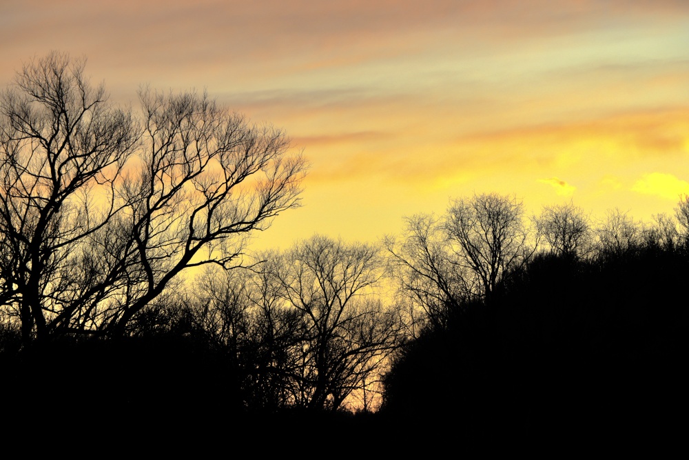 Sonnenuntergang in Dessau am 21. Dezember 2019 - Bild 4