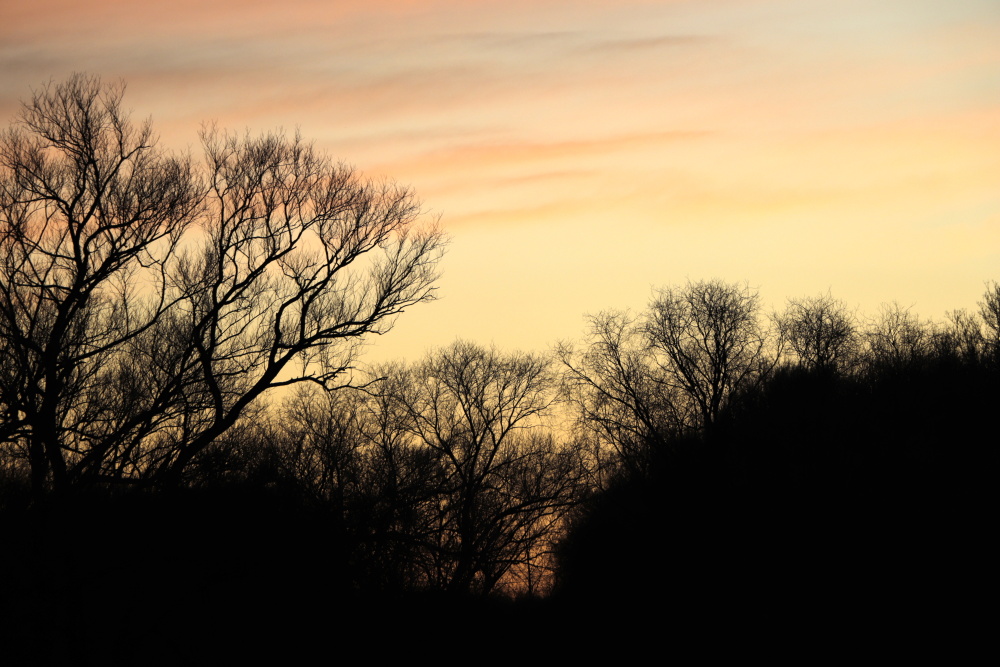 Sonnenuntergang in Dessau am 21. Dezember 2019 - Bild 5