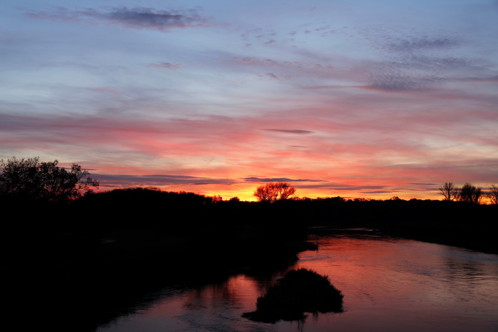 Sonnenuntergang in Dessau - Bild 11