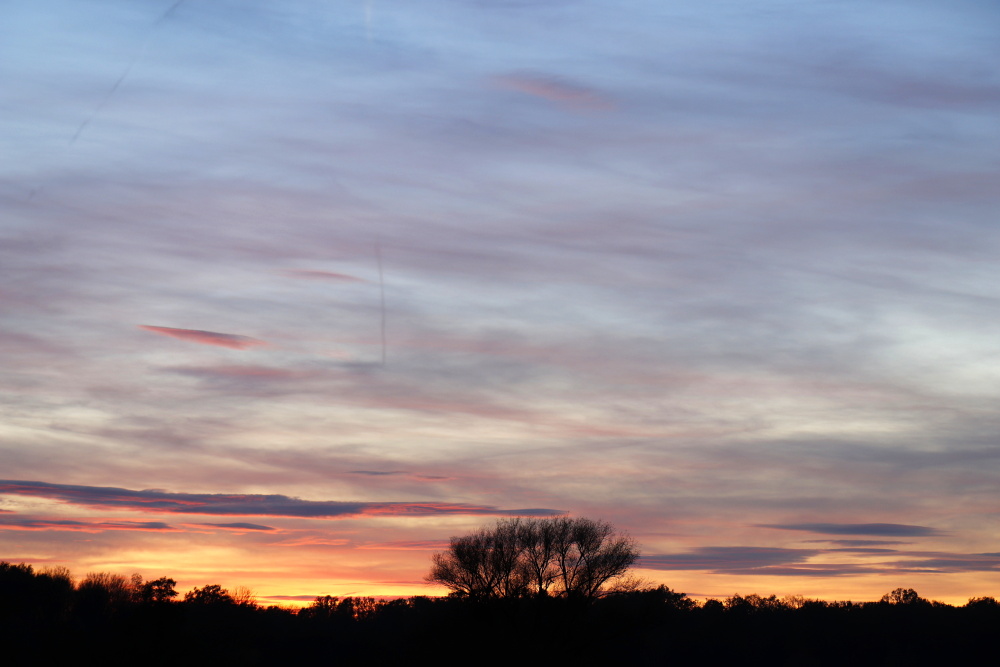 Sonnenuntergang in Dessau - Bild 13