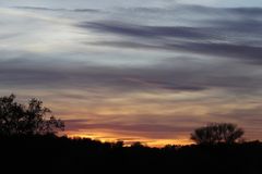 Sonnenuntergang in Dessau - Bild 2