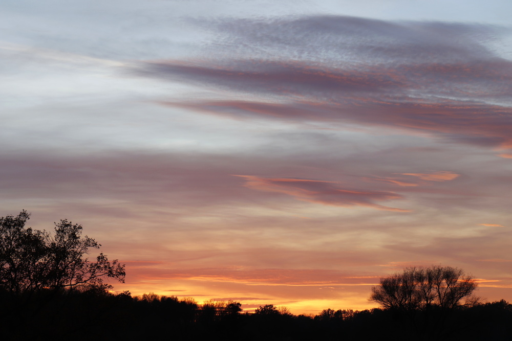 Sonnenuntergang in Dessau - Bild 3