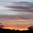 Sonnenuntergang in Dessau - Bild 3