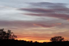 Sonnenuntergang in Dessau - Bild 3