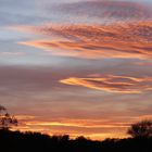 Sonnenuntergang in Dessau - Bild 4