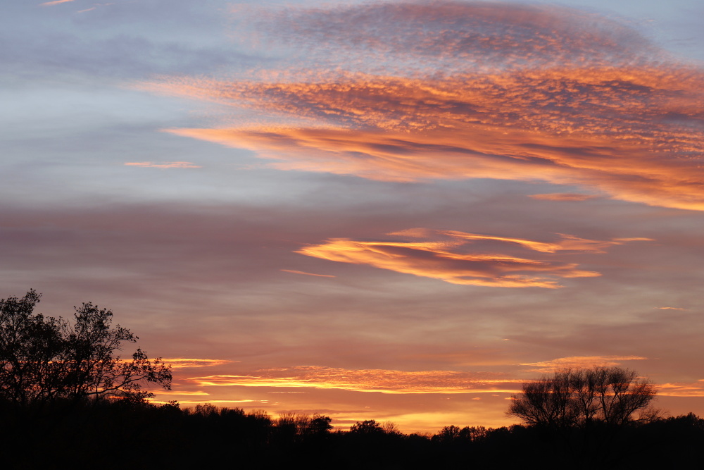 Sonnenuntergang in Dessau - Bild 4