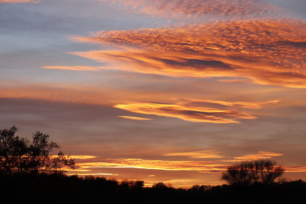 Sonnenuntergang in Dessau - Bild 5