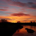 Sonnenuntergang in Dessau - Bild 8