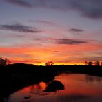 Sonnenuntergang in Dessau - Bild 9