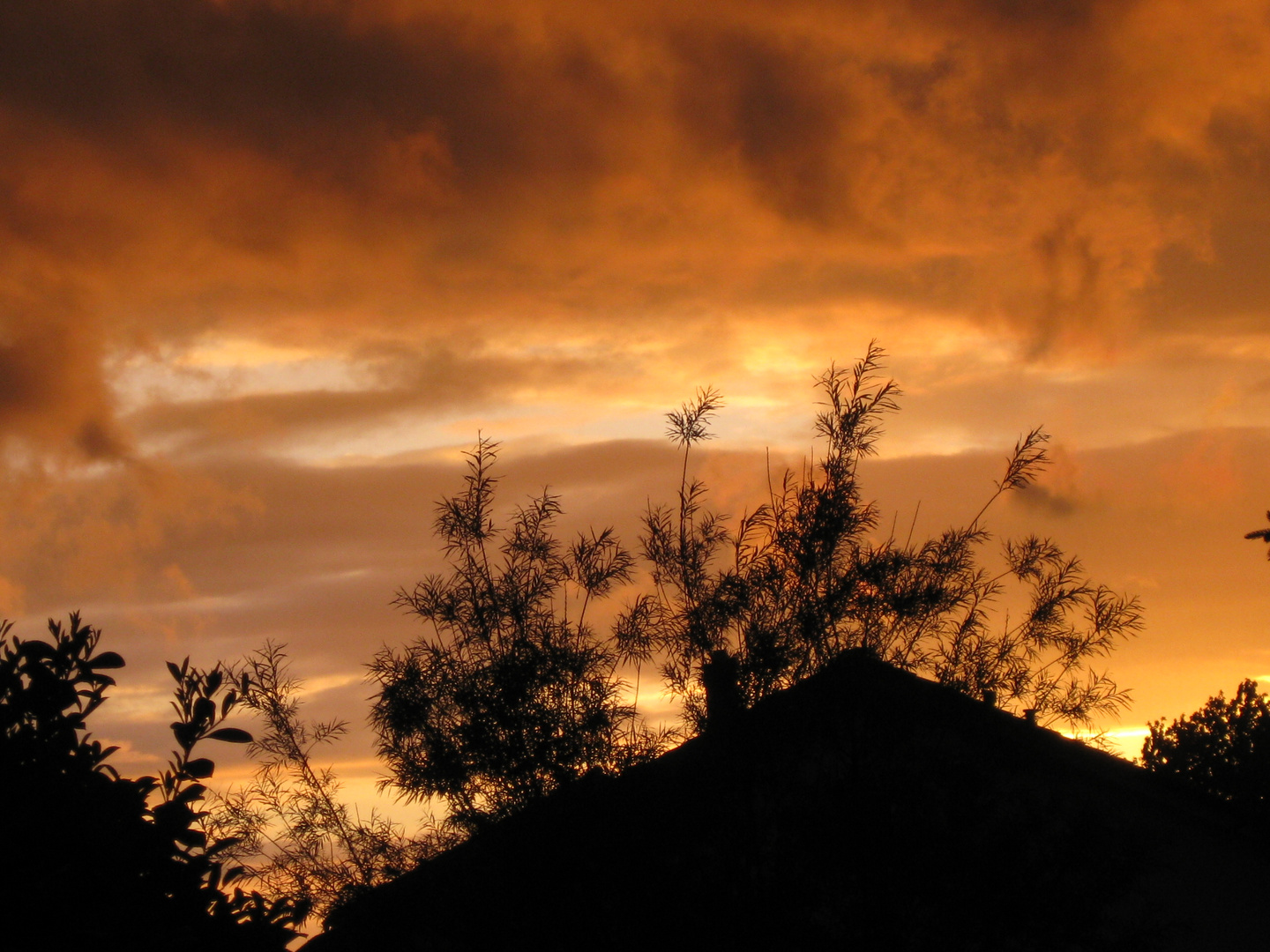 Sonnenuntergang in die Wildnis