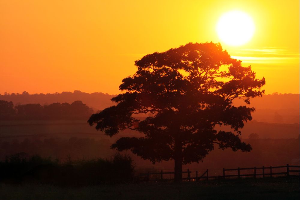 Sonnenuntergang in Dingley