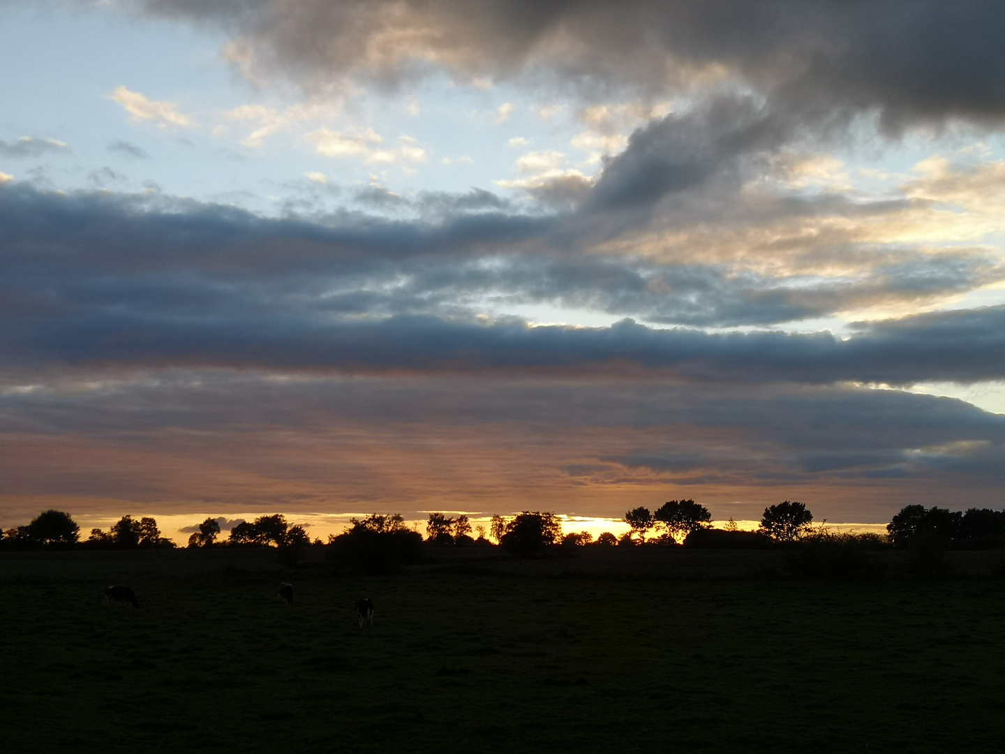 Sonnenuntergang in Dithmarschen 