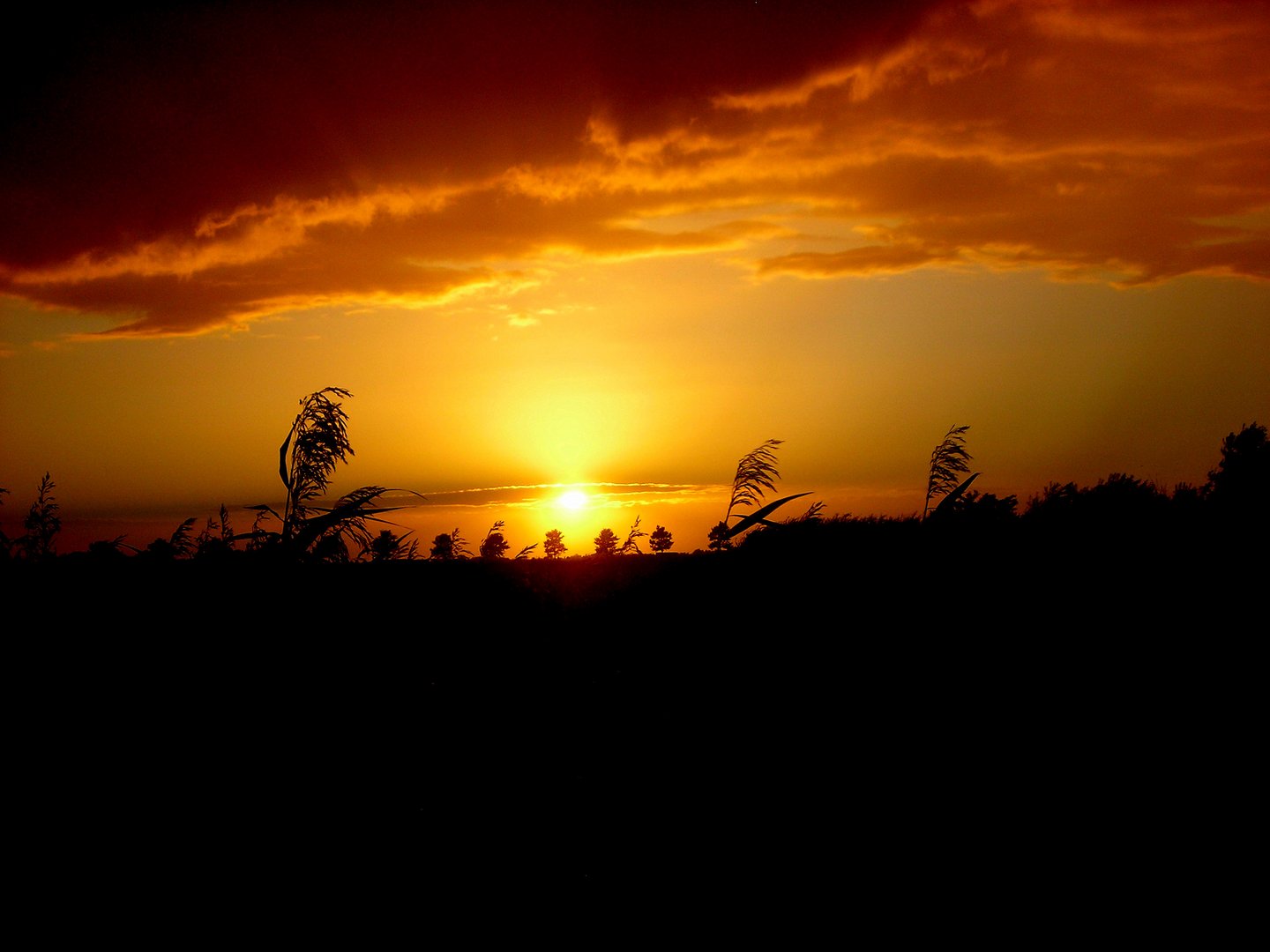 Sonnenuntergang in Dithmarschen