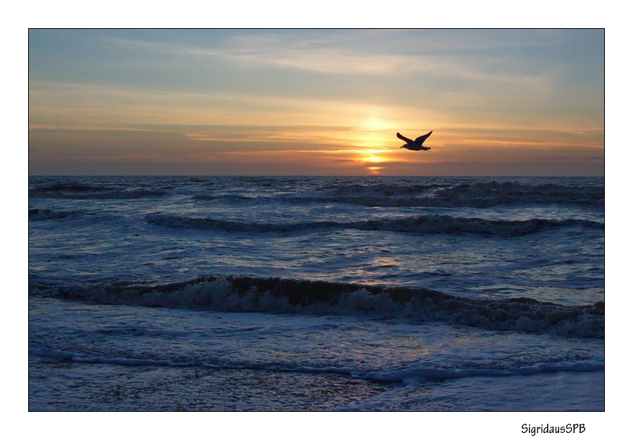 Sonnenuntergang in DK "Bjerregard"...