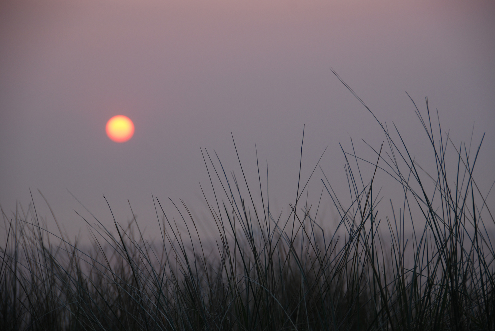 Sonnenuntergang in Domburg