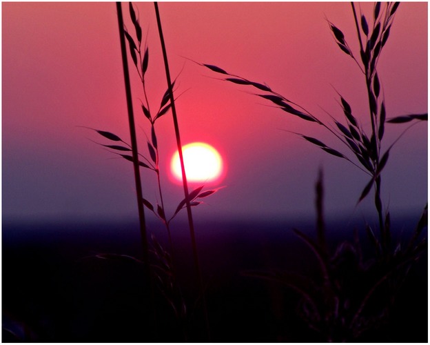 Sonnenuntergang in Dorsten