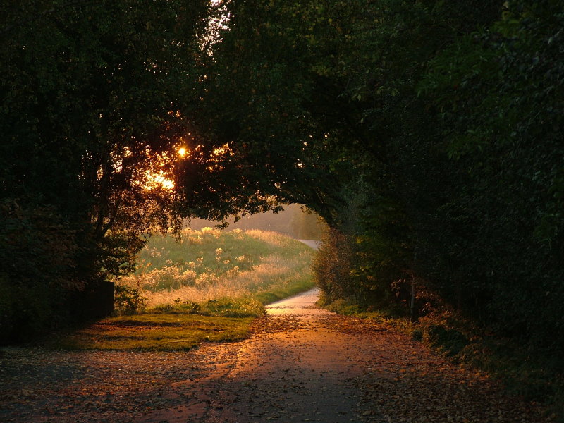 Sonnenuntergang in Dortmund