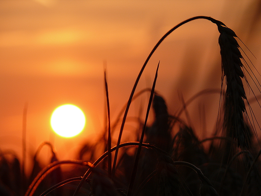 Sonnenuntergang in Duisburg