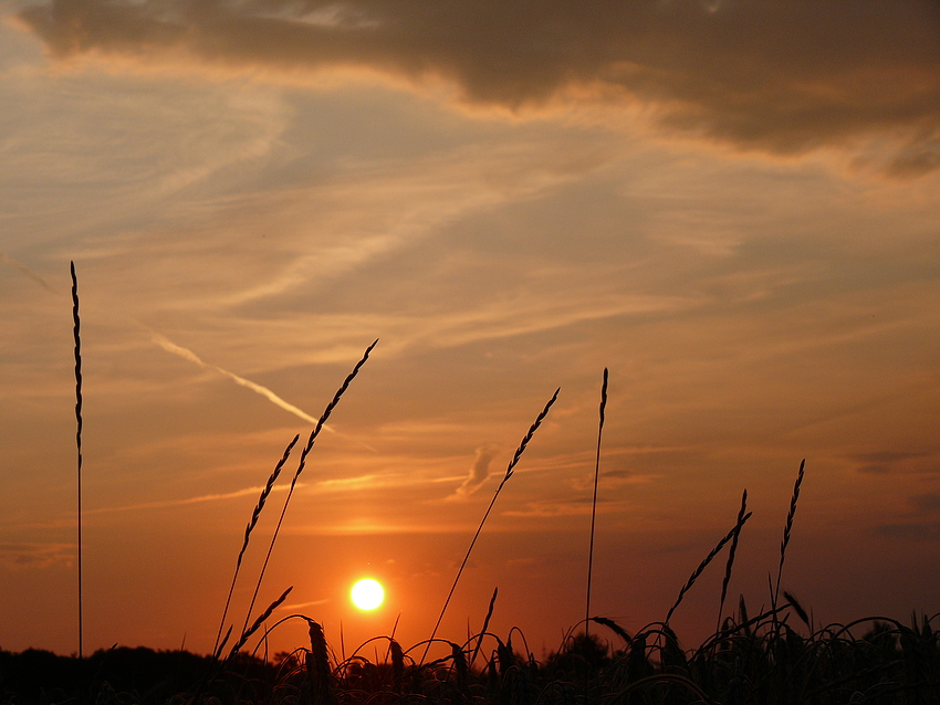 Sonnenuntergang in Duisburg II