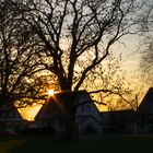 Sonnenuntergang in Dußlingen