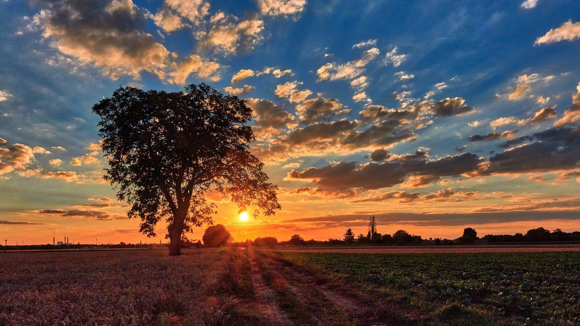 Sonnenuntergang in Edingen