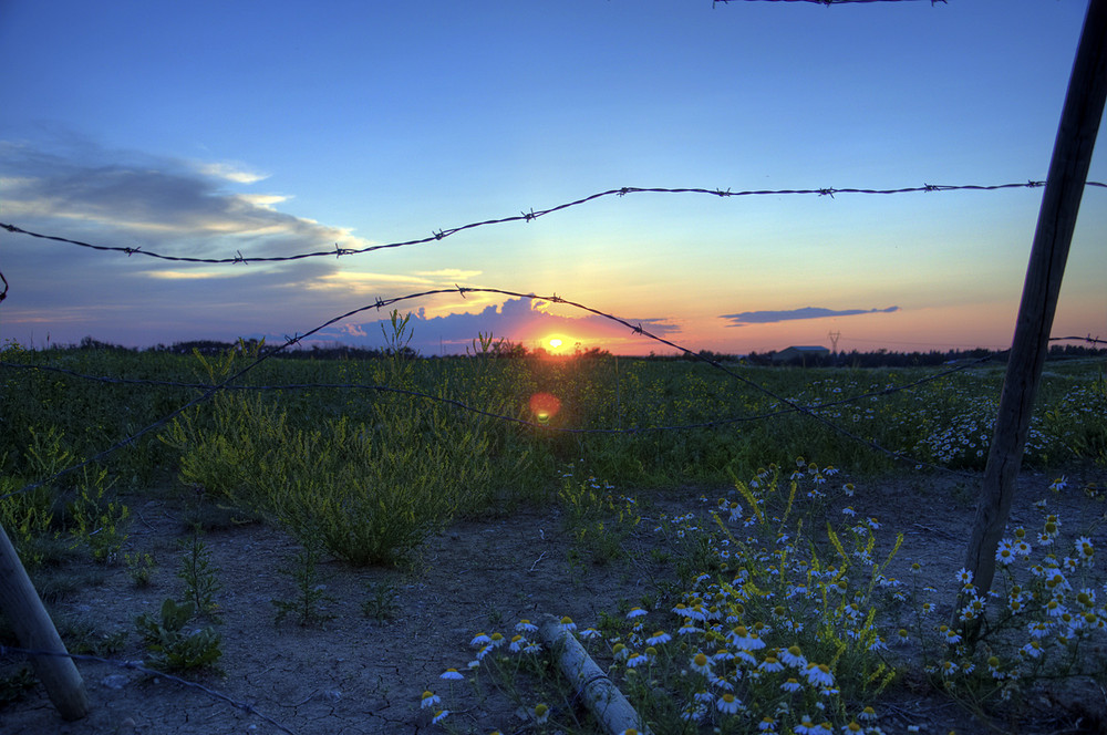 Sonnenuntergang in Edmonton