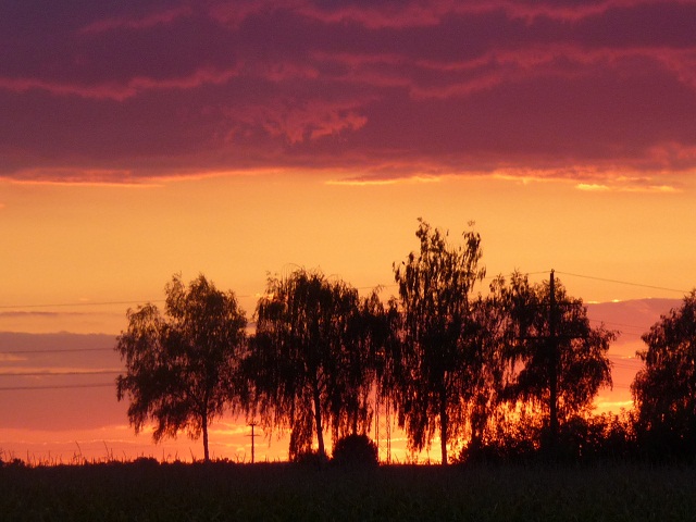 Sonnenuntergang in Efringen-Kirchen (Baden Würtemberg)