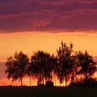 Sonnenuntergang in Efringen-Kirchen (Baden Würtemberg)