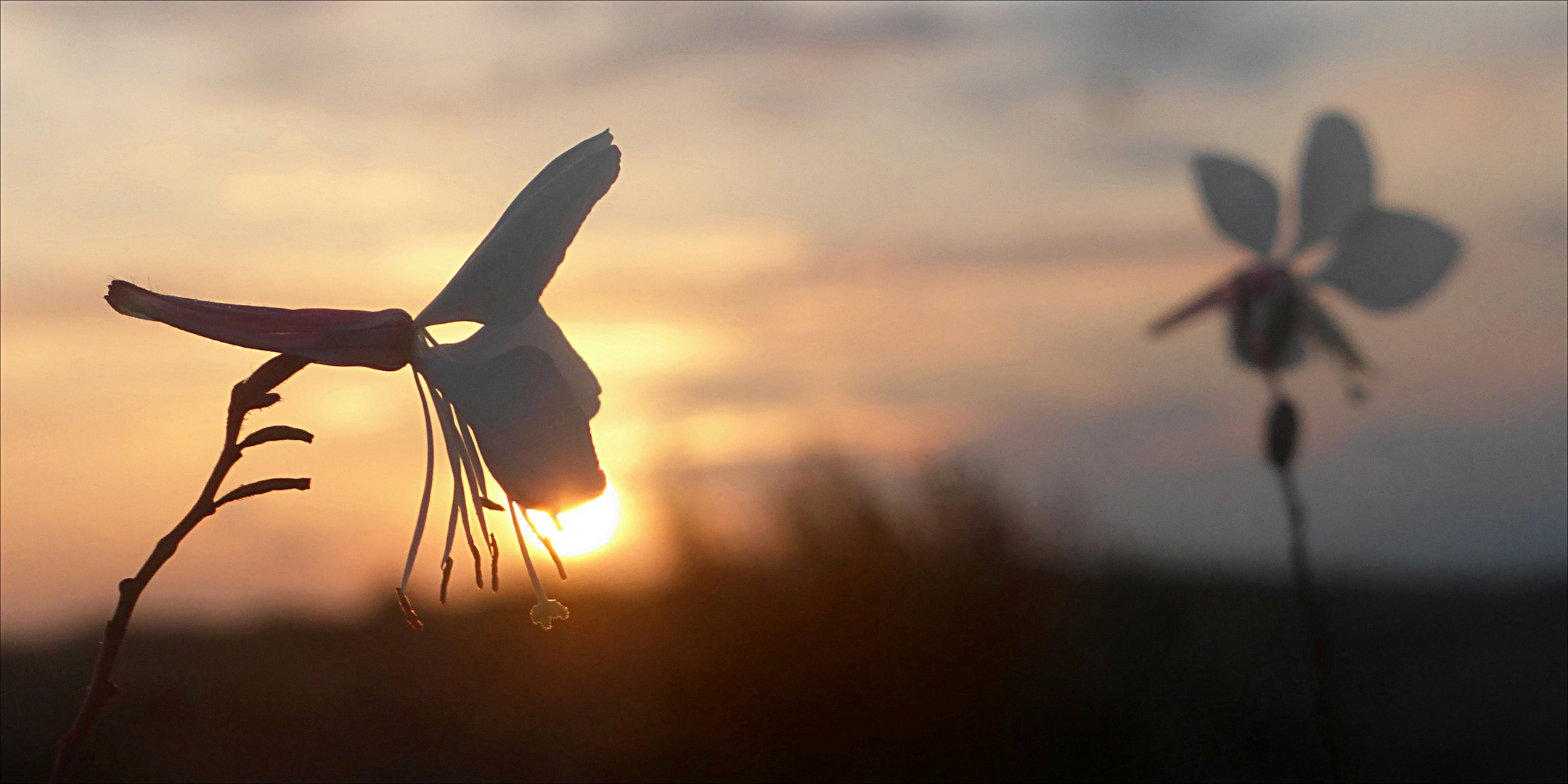 Sonnenuntergang in einem anderen Land