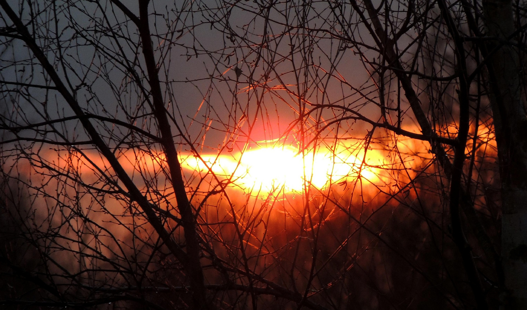 Sonnenuntergang in einem Februar