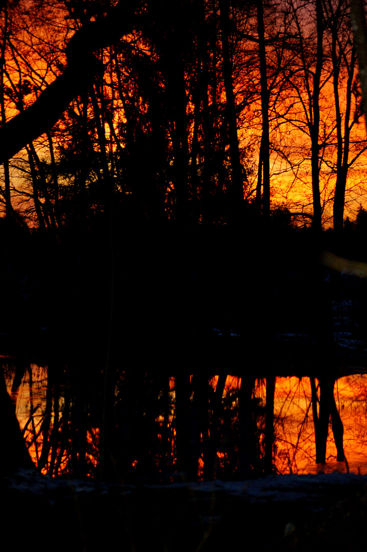 Sonnenuntergang in einer Waldlichtung gespiegelt am gefrorenen Teich!