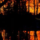 Sonnenuntergang in einer Waldlichtung gespiegelt am gefrorenen Teich!