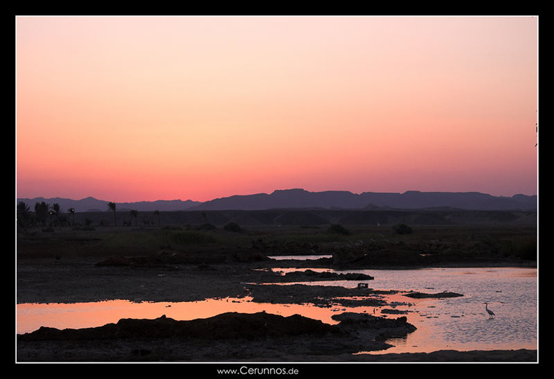 Sonnenuntergang in El Quesir