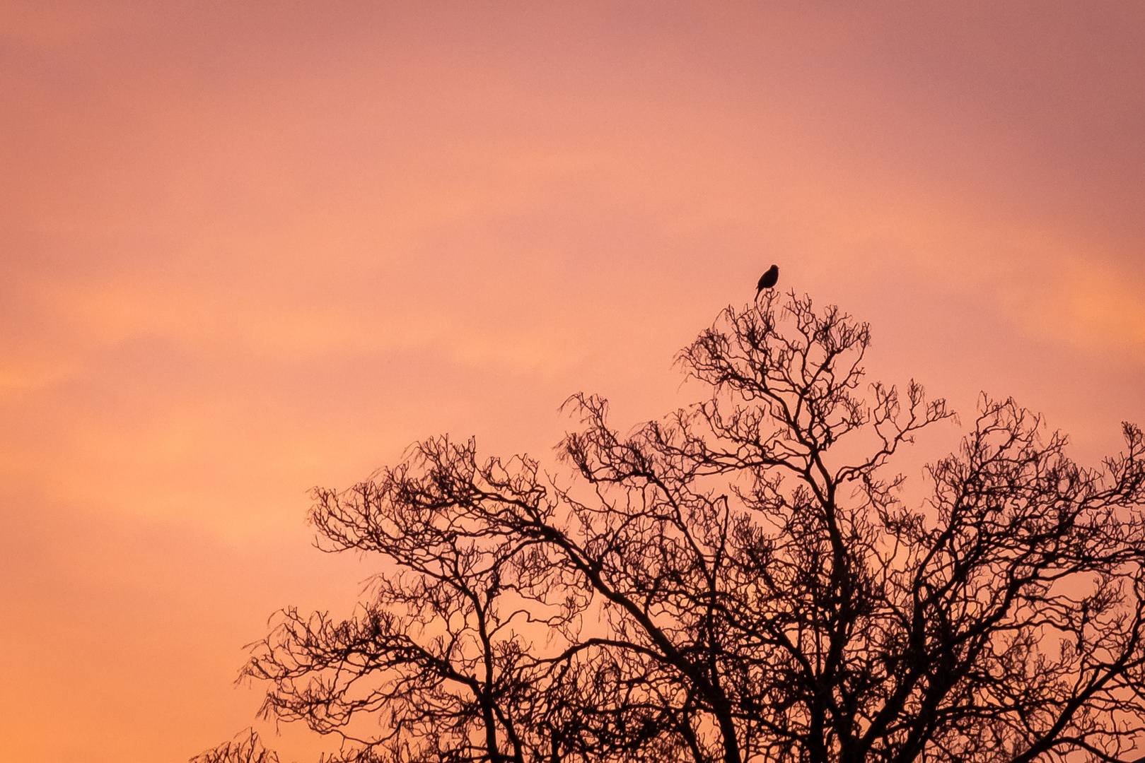 Sonnenuntergang in Enschede 