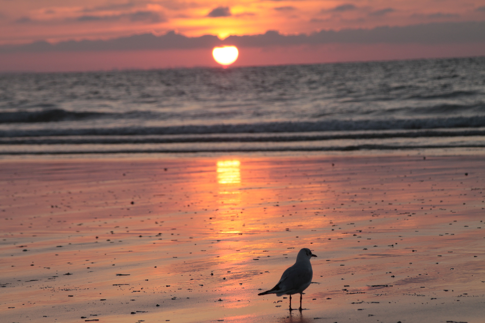 Sonnenuntergang in Erquy