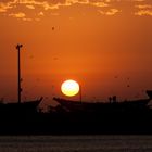 Sonnenuntergang in Essaouira