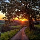 Sonnenuntergang in Essen