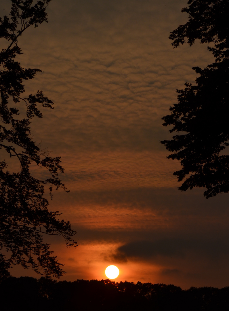 Sonnenuntergang in Essen irgendwo