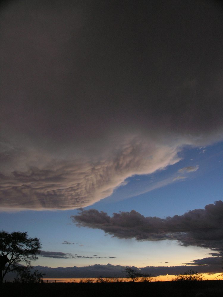 Sonnenuntergang in Etosha