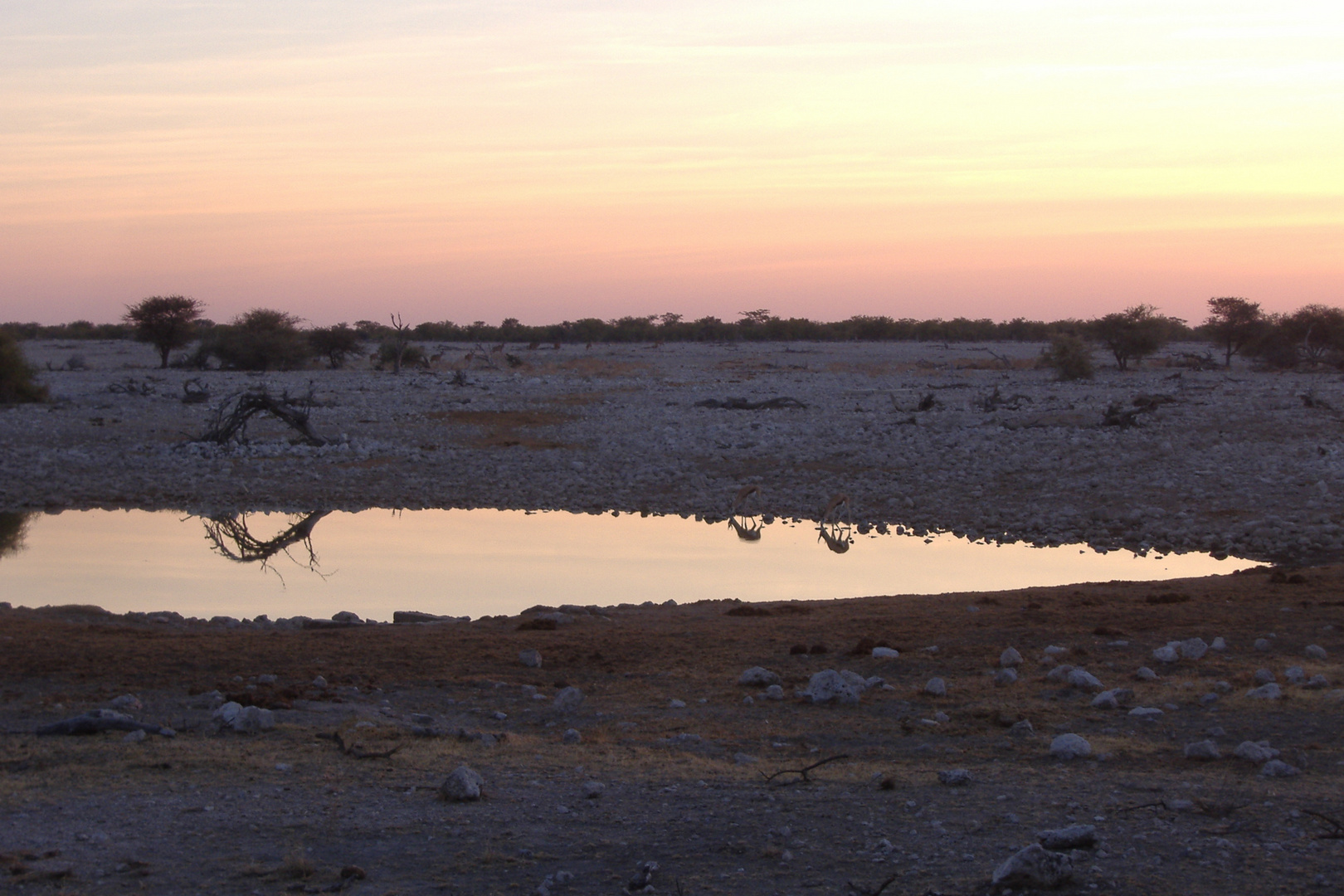 Sonnenuntergang in Etosha (Namibia)