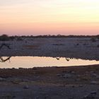 Sonnenuntergang in Etosha (Namibia)