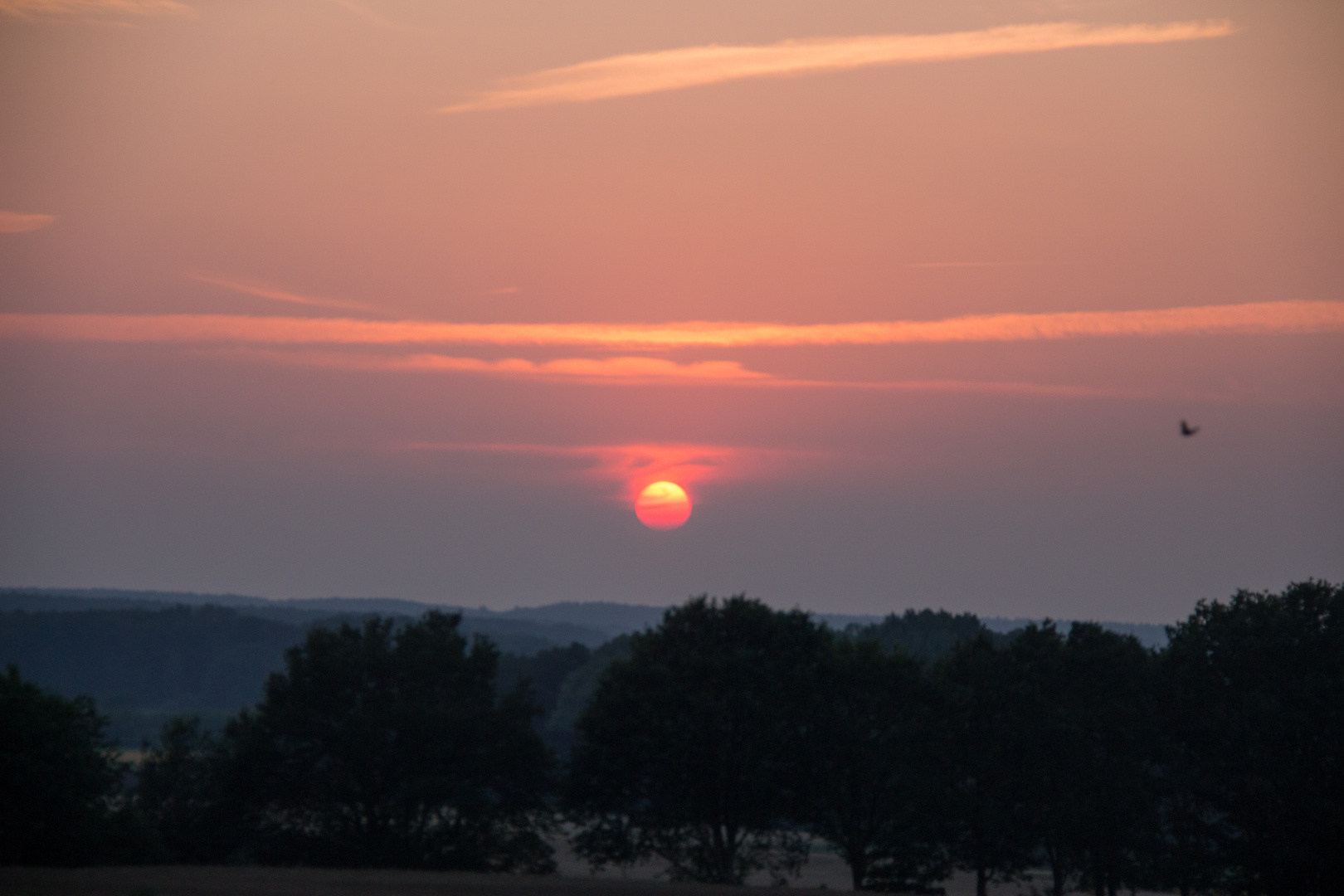 Sonnenuntergang in Eyendorf