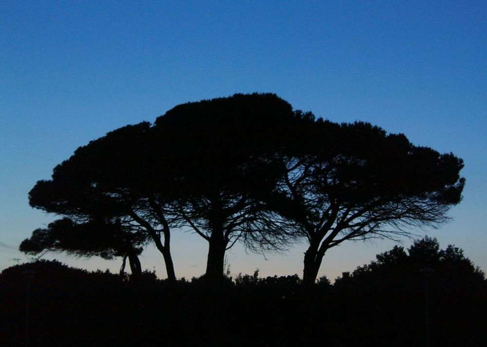 Sonnenuntergang in Follonica von Ronald Sinda