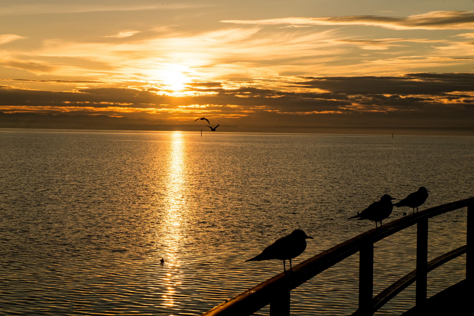 Sonnenuntergang in Friedrichshafen